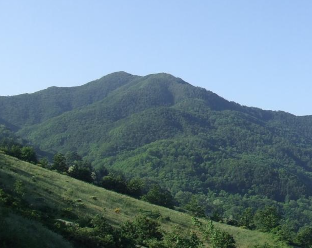 monte castel guerrino